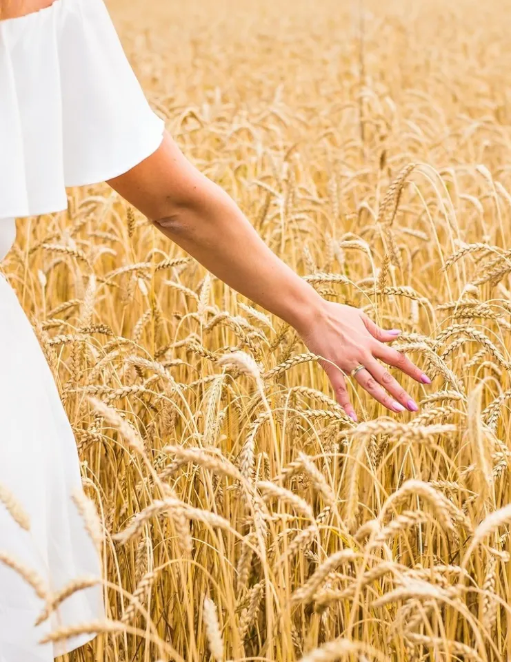 Bague tricolore or 375 ‰ SO OR