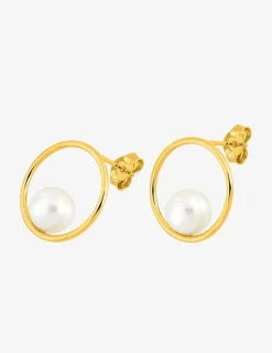 Boucles d'oreilles anneau or jaune 375‰ et perle 6 mm SO OR