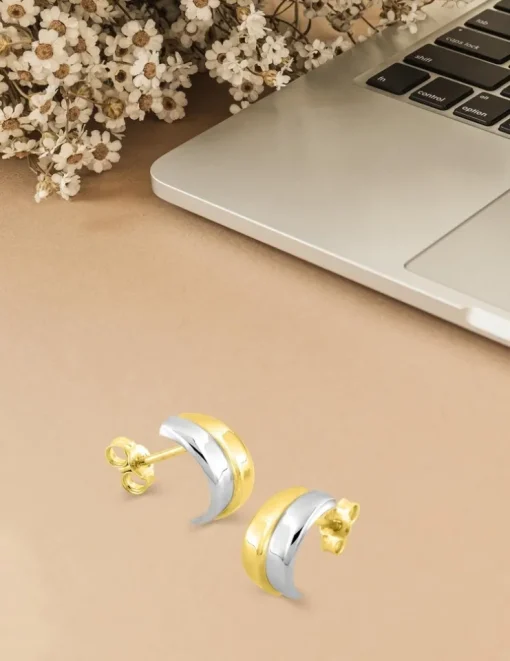 Boucles d'oreilles bicolores or 375‰ SO OR