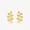 Boucles d'oreilles clous branche de feuilles plaqué or SO OR