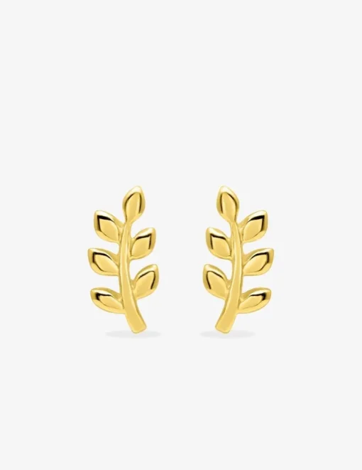 Boucles d'oreilles clous branche de feuilles plaqué or SO OR