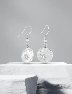 Boucles d'oreilles crochet en acier SO OR