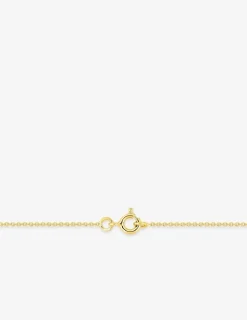 Chaine forçat ronde or jaune 750 ‰ 1,10 mm SO OR