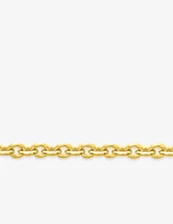Collier chaîne forçat rond 2,75 mm plaqué or SO OR